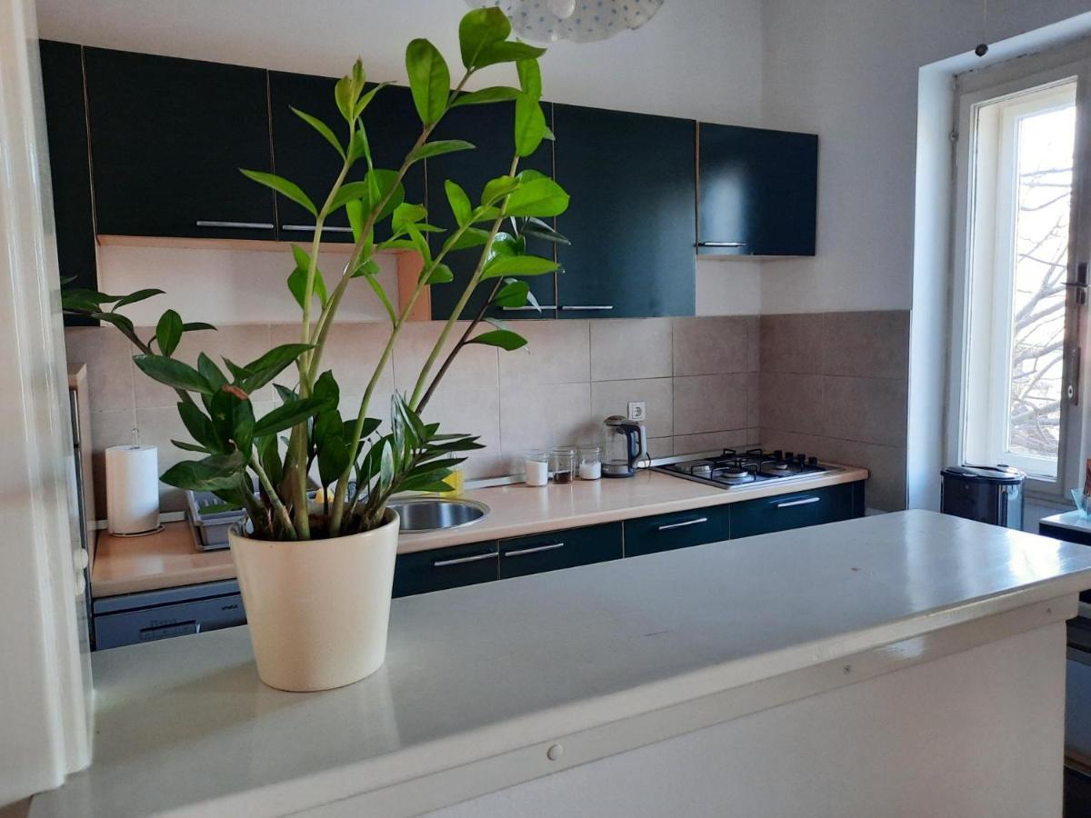 Apartman Soda Огулин Экстерьер фото